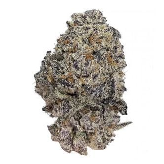 Original Oz (Growers Choice) feminizada