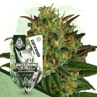 White Rhino Automatic (Zamnesia Seeds) feminizada