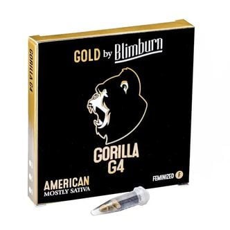 Gorilla Glue 4 (Blimburn Seeds) feminizada