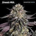 Zerealz Milk (Advanced Seeds) feminizada