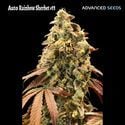 Auto Rainbow Sherbet 11 (Advanced Seeds) feminizada