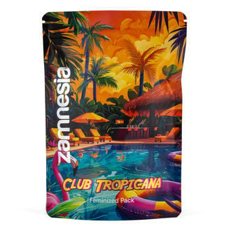 Club Tropicana Pack - Variedades feminizadas