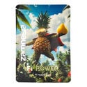 Pack F1 Power - Semillas de híbridos F1