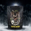 Pack TRIBE Treasure “Roaring Bear”