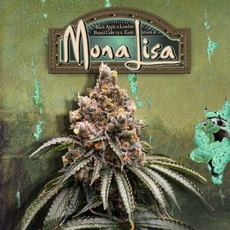 Mona Lisa (T.H.Seeds™) feminizada