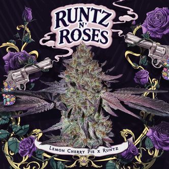 Runtz 'N Roses (T.H.Seeds) feminizada