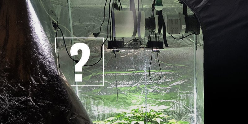 ¿Por qué utilizar un filtro de carbón al cultivar marihuana?