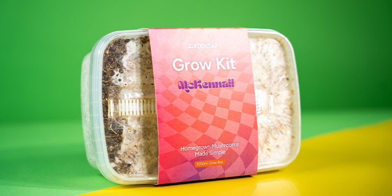 Kit De Cultivo Fresh Mushrooms “McKennaii”