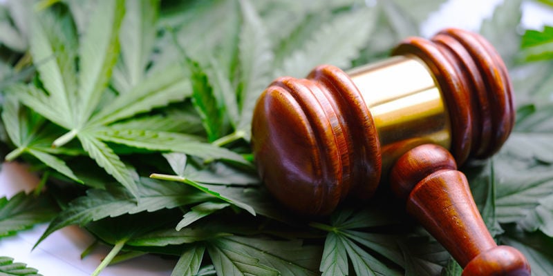 ¿Cuándo Será Legal El Cannabis?