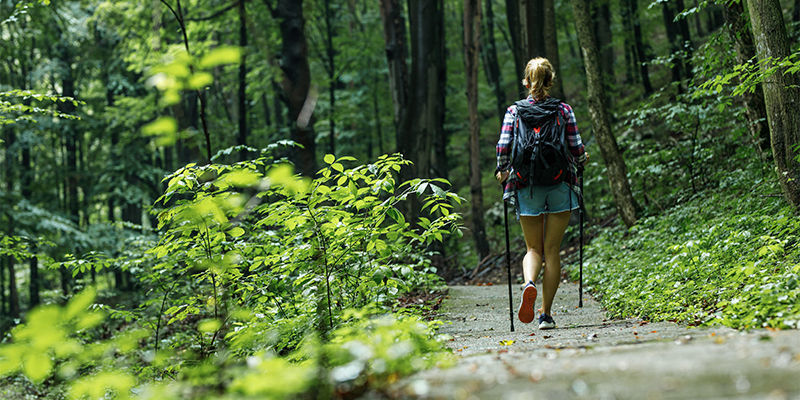 Da Un Paseo Por La Naturaleza