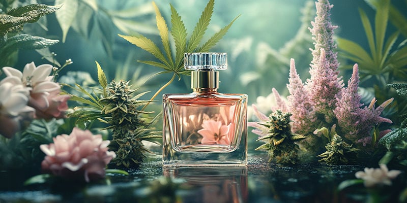 Perfumes Inspirados En La Subcultura Del Cannabis