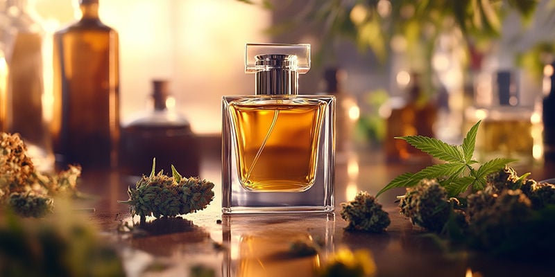 Perfumes Populares Inspirados En El Cannabis