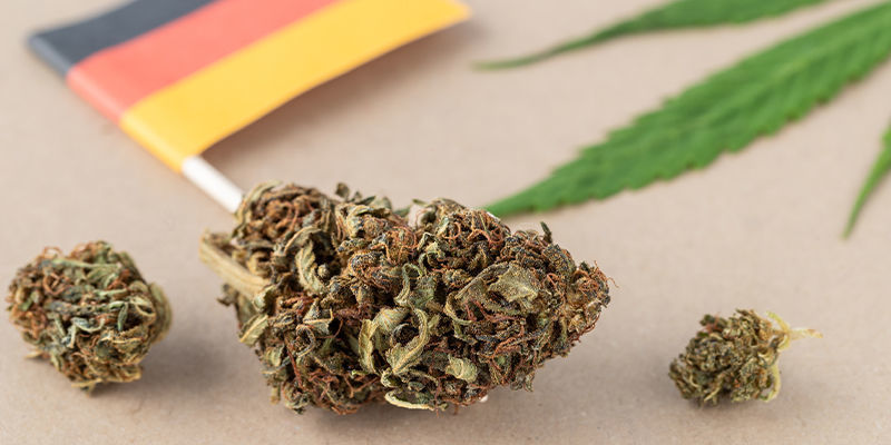 ¿Qué Dice La Ley Sobre El Cannabis En Alemania?