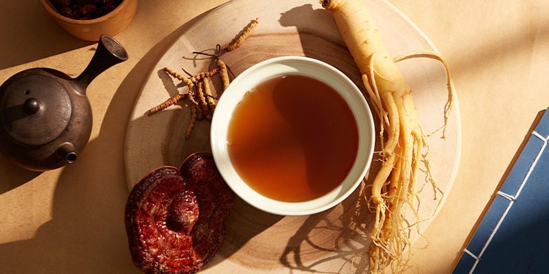 Cosecha Y Consumo De Las Setas Cordyceps