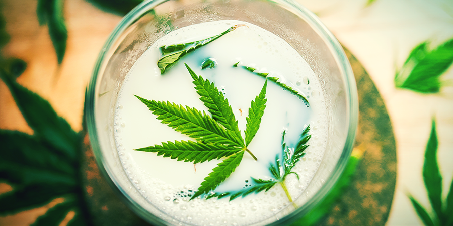 Otros Ingredientes Naturales (Leche, Pimienta De Cayena, Canela) - esprays foliares para las plantas de cannabis