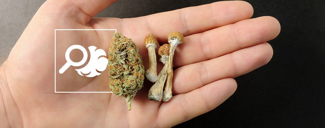 Todo Lo Que Debes Saber Sobre Las Microdosis De Psicodélicos Y Marihuana