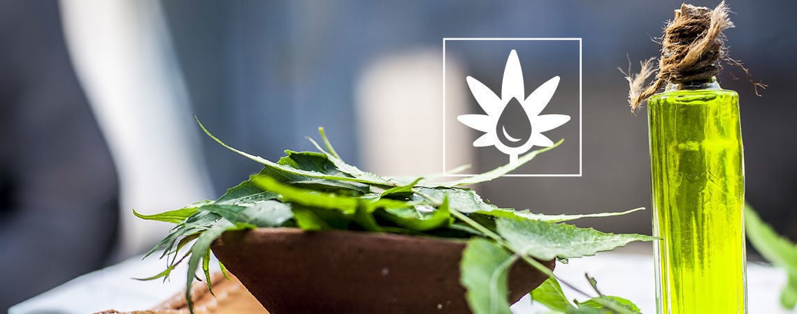 Cómo Usar Aceite De Neem En El Cuarto De Cultivo