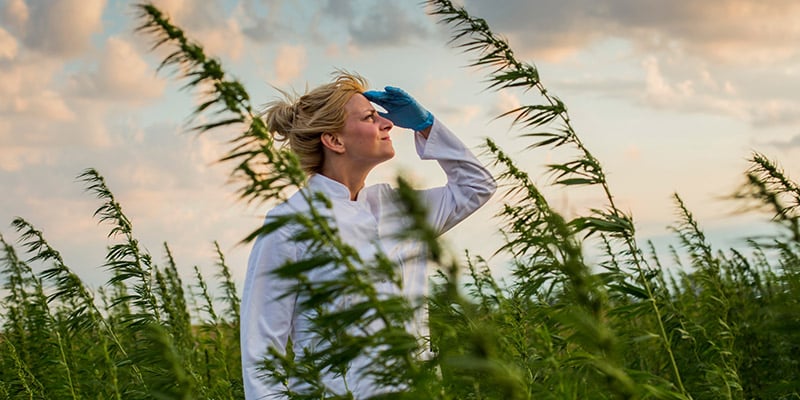 Retos Y Adaptaciones En Croptober