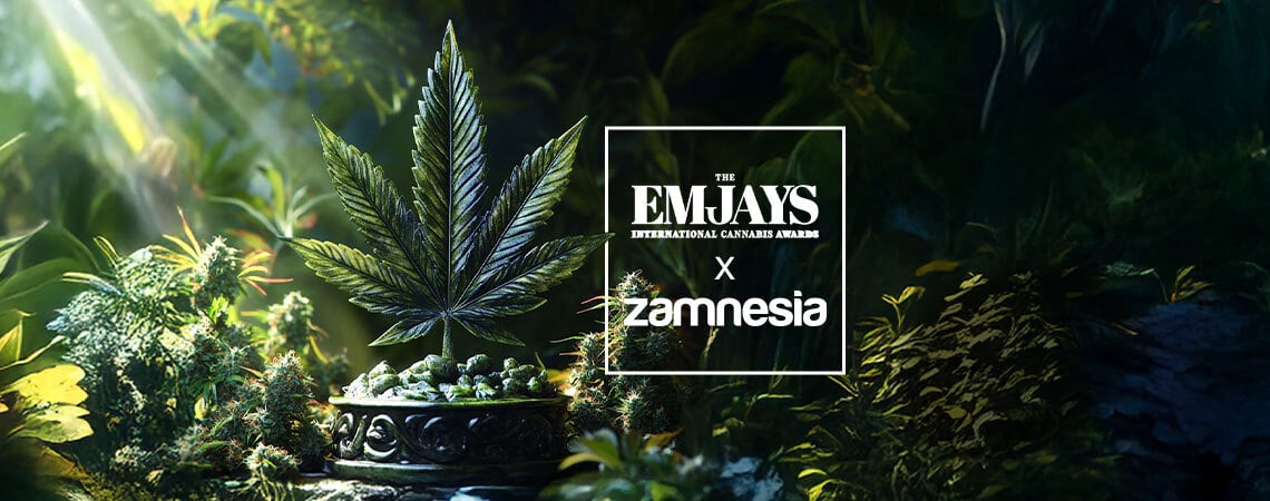 The Emjays - International Cannabis Awards: Zamnesia Gana A Lo Grande