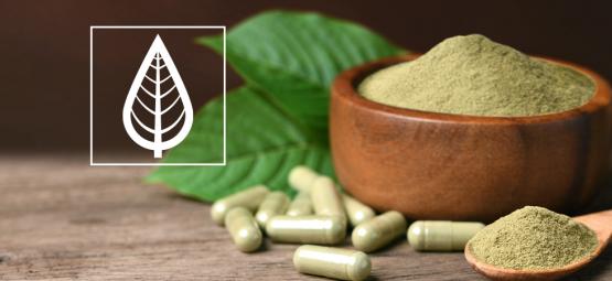 ¿En qué se diferencian las distintas variedades de kratom?