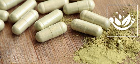 Cómo consumir kratom en polvo